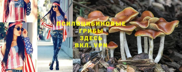 a pvp Белокуриха